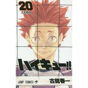 Haikyu!! Vol. 20