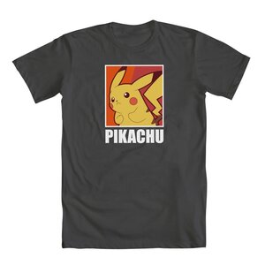 Pika Color Box Chacoal L
