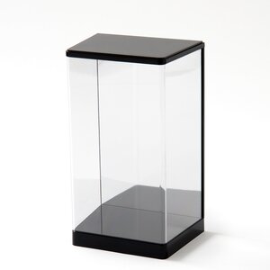 WAVE Display Case T Case DM