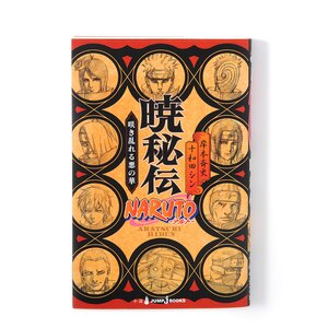 Naruto Akatsuki Hiden: Naruto Secret Chronicles Vol. 6