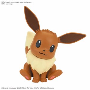 Pokémon Model Kit Quick!! 04: Eevee