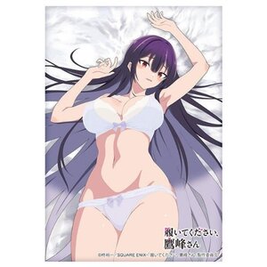 Bushiroad Sleeve Collection High-Grade Vol. 4837 Please Put Them On, Takamine-san Takane Takamine: Lingerie Ver.