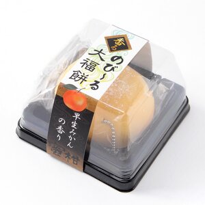 Stretchy Daifuku Mochi Keychain Early Ripening Tangerine