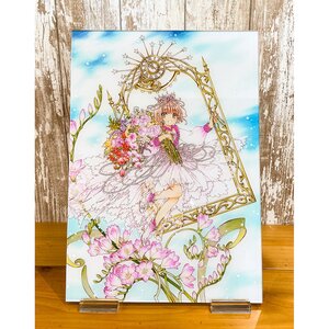 Cardcaptor Sakura High-Resolution Acrylic Art