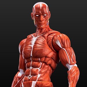 Human Muscle Model (Red) 1/12 Scale Action Figure