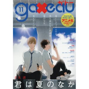 gateau November 2016