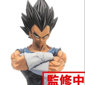 Dragon Ball Z Grandista Nero Vegeta: Manga Dimensions