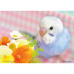 I Love Parakeets Jigsaw Puzzle