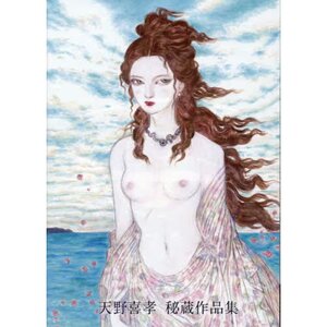 Yoshitaka Amano Treasured Works Collection