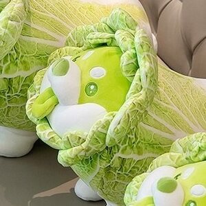 Vegetable Fairy Series Cabbage Dog 35cm Plush