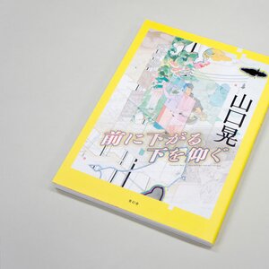 Stepping Back to See The Underneath Akira Yamaguchi Art Works