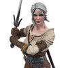 The Witcher 3: Wild Hunt Cirilla Fiona Elen Riannon