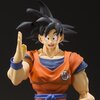 S.H.Figuarts Dragon Ball Z Son Goku -A Saiyan Raised on Earth- (Re-run)