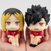 Look Up Series Haikyu!!  Kenma Kozume & Tetsuro Kuroo Uniform Ver. Set w/ Bonus Cushions