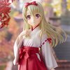 Fate/kaleid liner Prisma Illya: Prisma Phantasm Illyasviel von Einzbern Non-Scale Figure