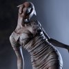 Silent Hill 2 Bubble Head Nurse 1/6 Scale Statue (Re-run)