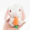 [TOM Exclusive] Pote Usa Loppy Field Rabbit Plush Collection (Standard)