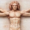 figma The Table Museum Vitruvian Man (Re-run)