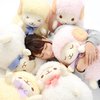 Wooly Lovely Face Sheep Plush Collection (Big)