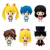 Chokorin Mascot Series Sailor Moon Box Set
