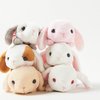 Sleepy Pote Usa Loppy Rabbit Plush Collection (Standard Size)
