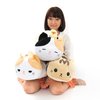 Tsuchineko Madoromi Cat Plush Collection (Big)