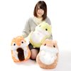 Coroham Coron to Risu-chan Hamster Plush Collection (Big)