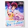 TV Anime No Game No Life Complete Fan Book