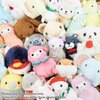 Randomly Selected Mini Plush Set