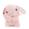 Pote Usa Loppy Rabbit Plush Collection (Ball Chain)