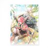 Yuukyuu no Tierblade: Lost Chronicle Official Art Works