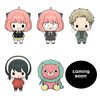 Chokorin Mascot Series Spy x Family Box Set