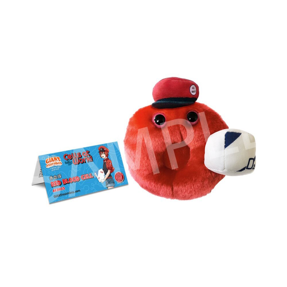 Gyugyutto Big Square Can Badge Cells at Work!/Red Blood Cell (Anime Toy) -  HobbySearch Anime Goods Store