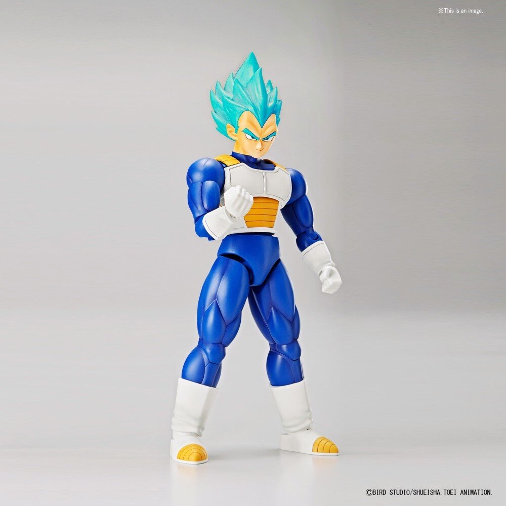 [Dragon Ball Super] Super Saiyan Blue Vegeta: Figure-rise Standard ...