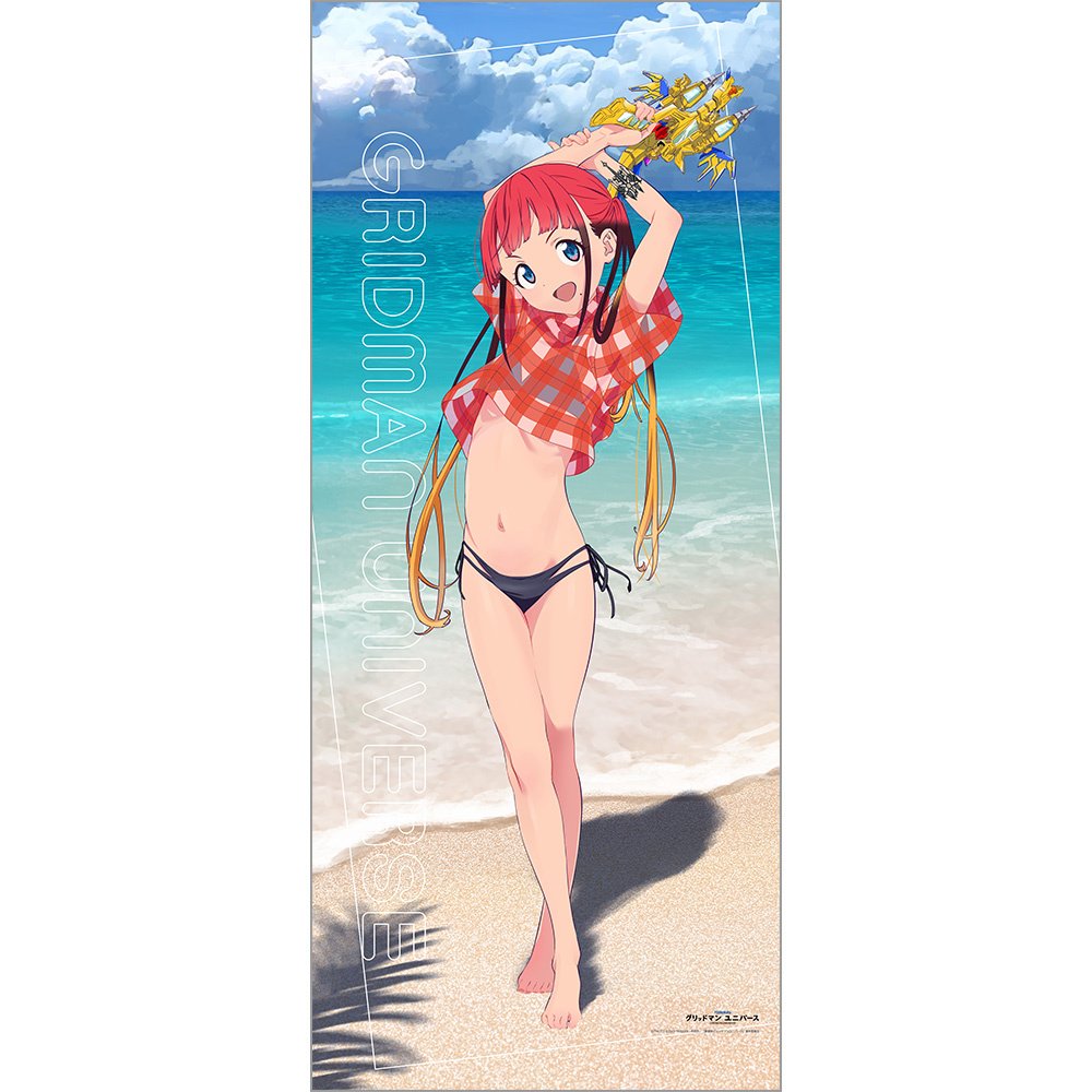 Chise Asukagawa Swimsuit Ver. tapestry Gridman Universe