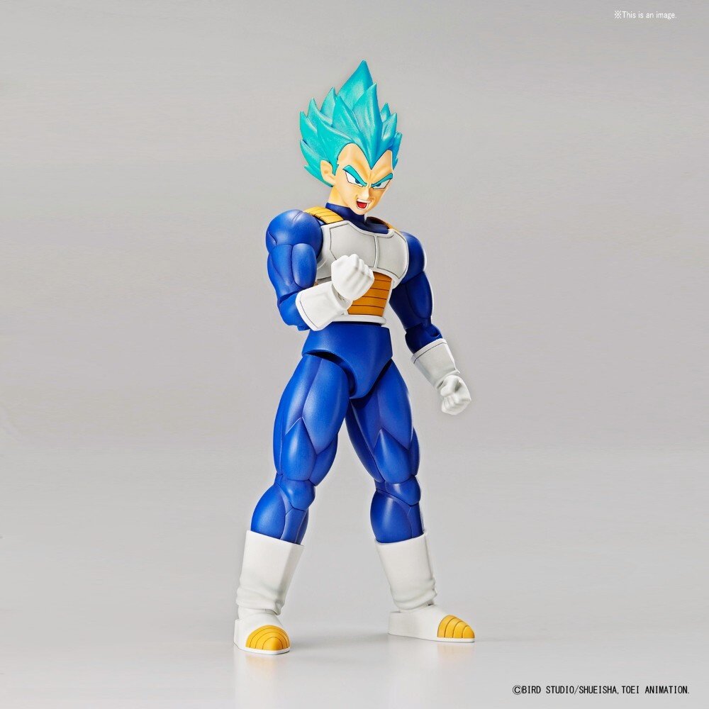 [Dragon Ball Super] Super Saiyan Blue Vegeta: Figure-rise Standard ...
