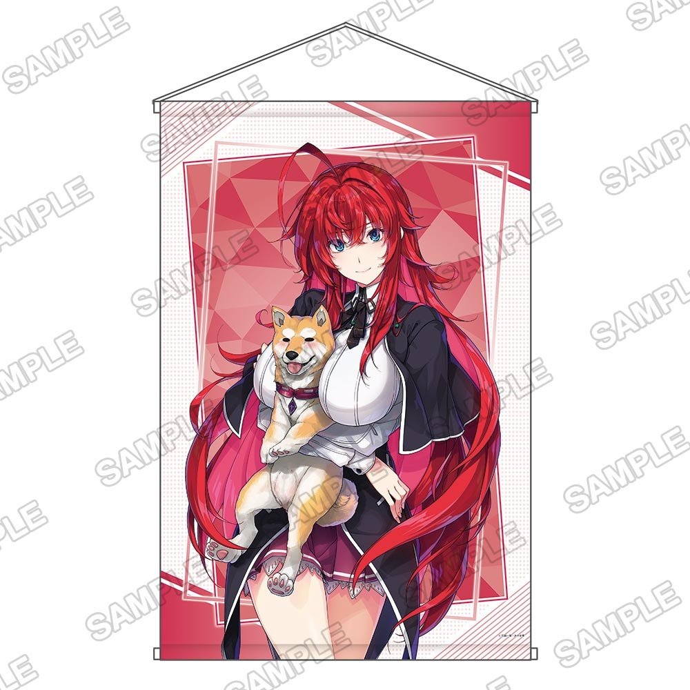 Light Novel Exhibition 2025 B2 Tapestry High School DxD - Tokyo 