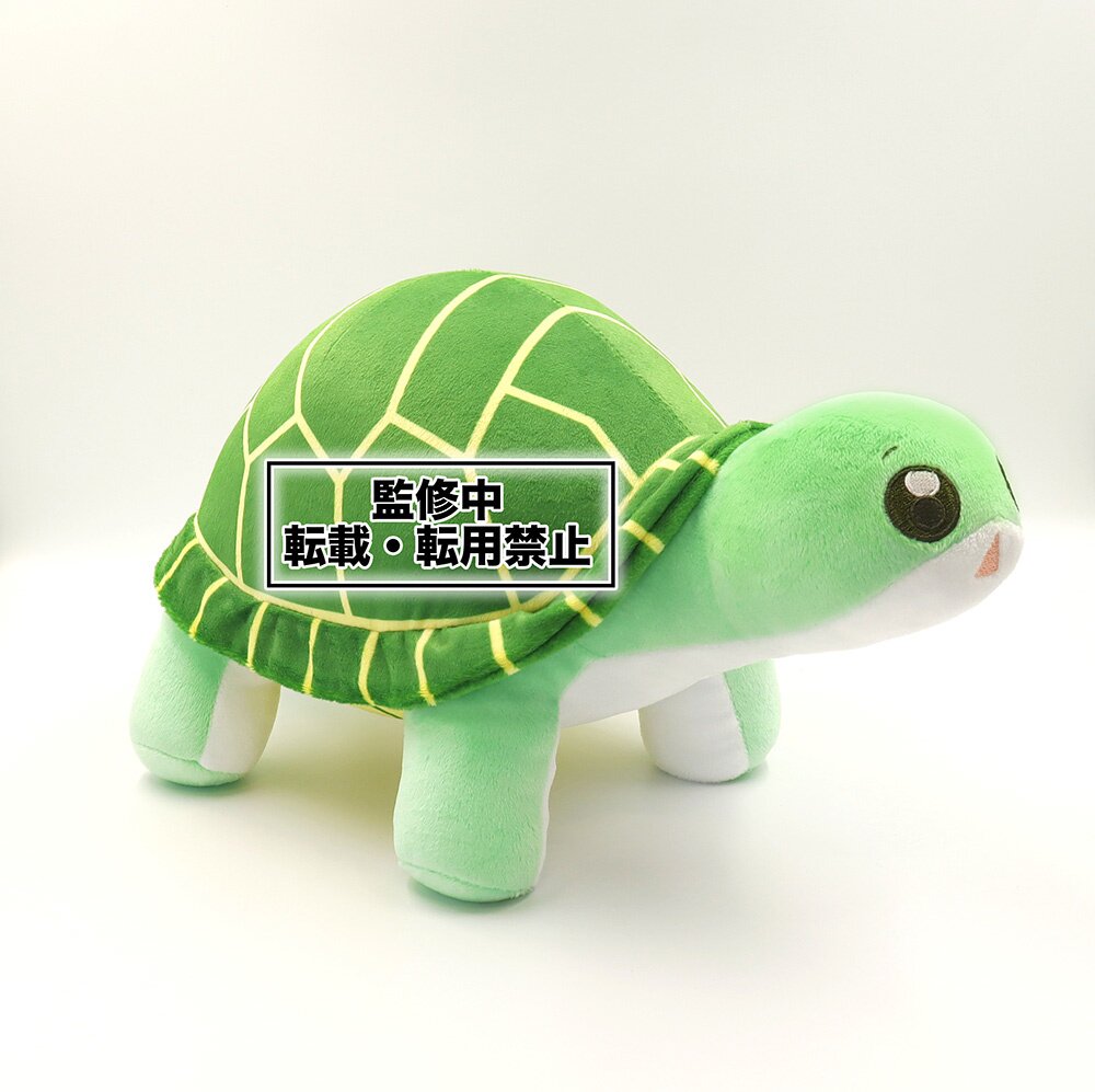Bofuri turtle