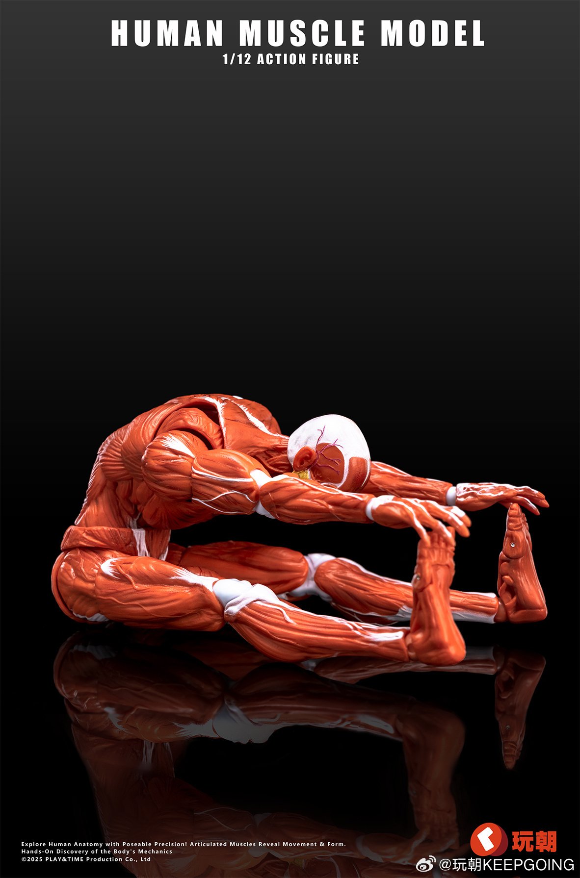 Human Muscle Model (Red) 1/12 Scale Action Figure: Keepgoing