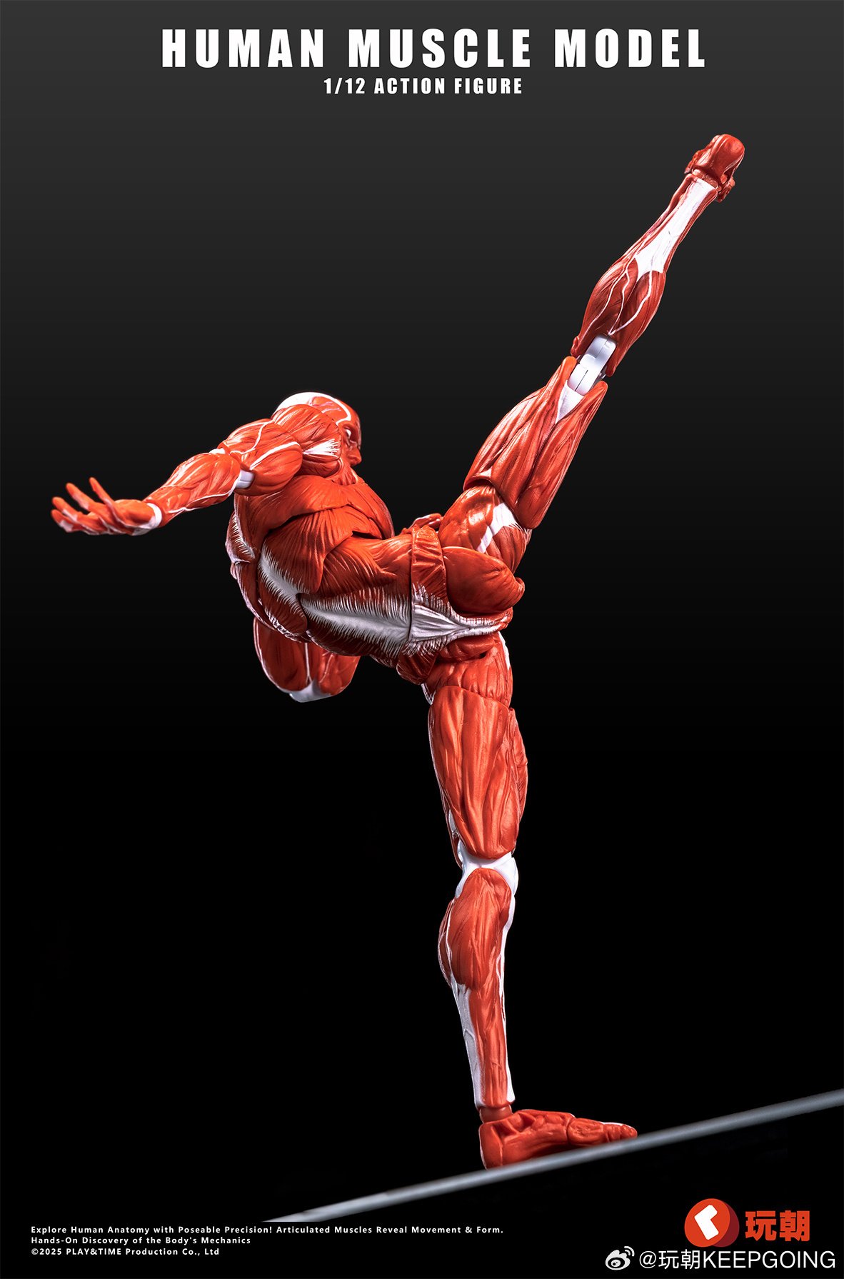 Human Muscle Model (Red) 1/12 Scale Action Figure: Keepgoing