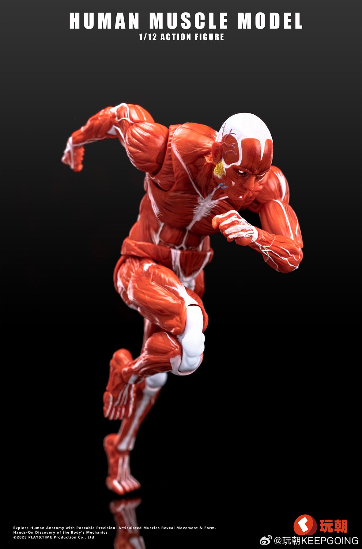 Human Muscle Model (Red) 1/12 Scale Action Figure: Keepgoing