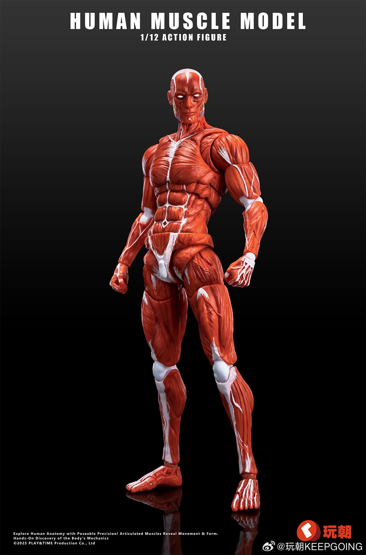 Human Muscle Model (Red) 1/12 Scale Action Figure: Keepgoing
