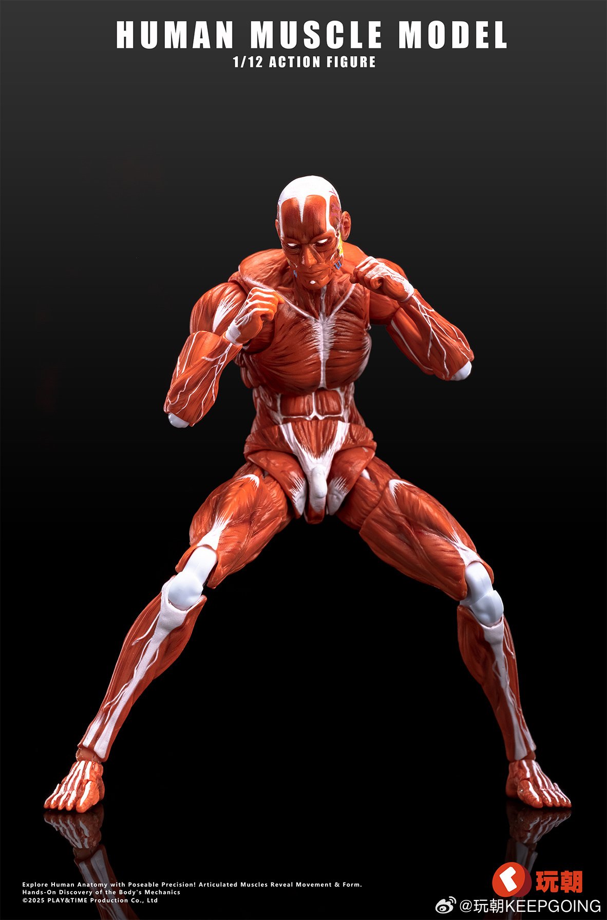 Human Muscle Model (Red) 1/12 Scale Action Figure: Keepgoing Studio ...