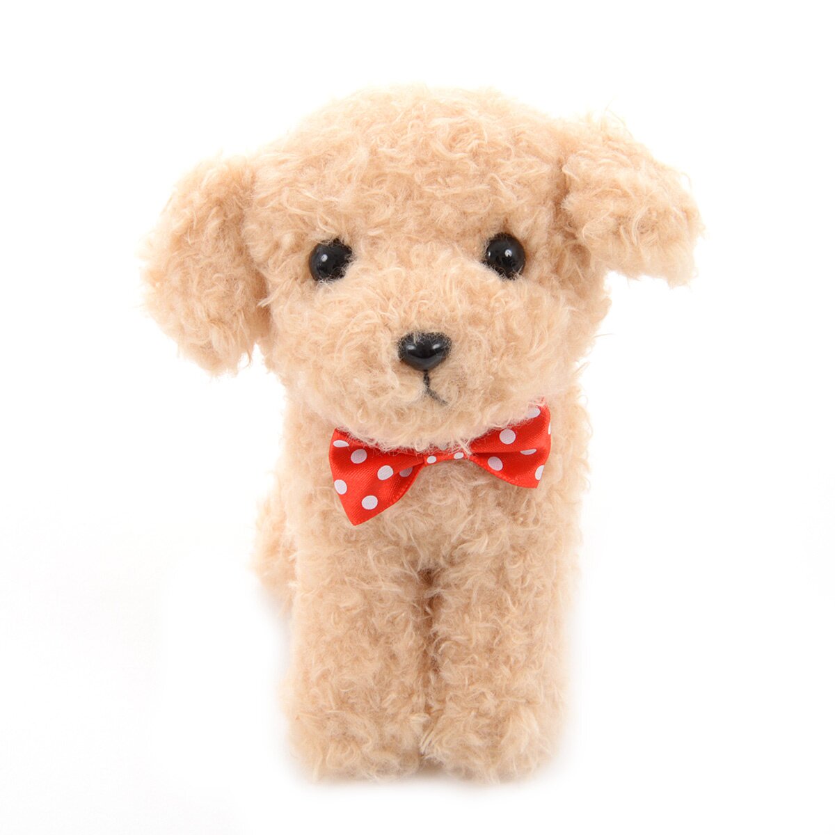Mocha Toy Poodle Puppy 💙 SOLD – Precious Pups USA