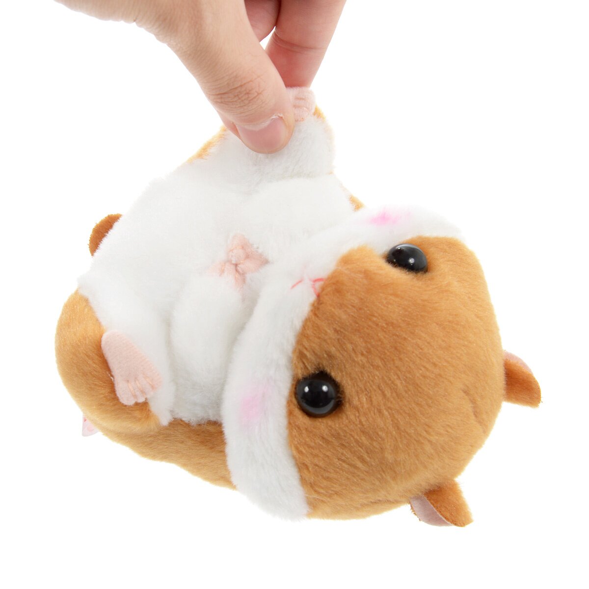 Coroham Coron Hamster Plush Collection (Standard): Amuse