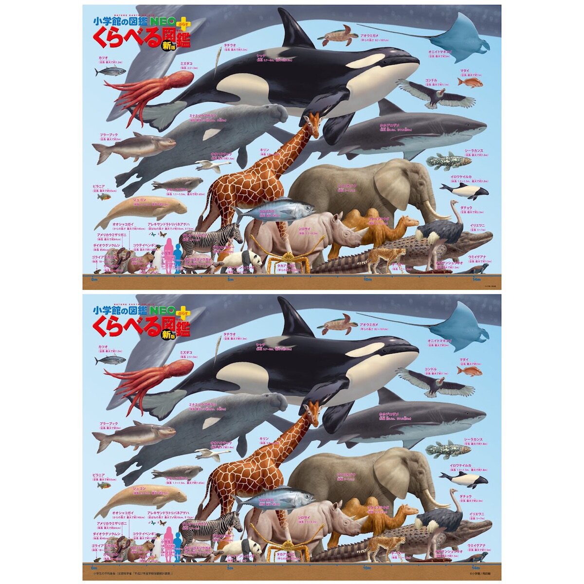 Puzzle - Whale - 150 Pieces 1 item