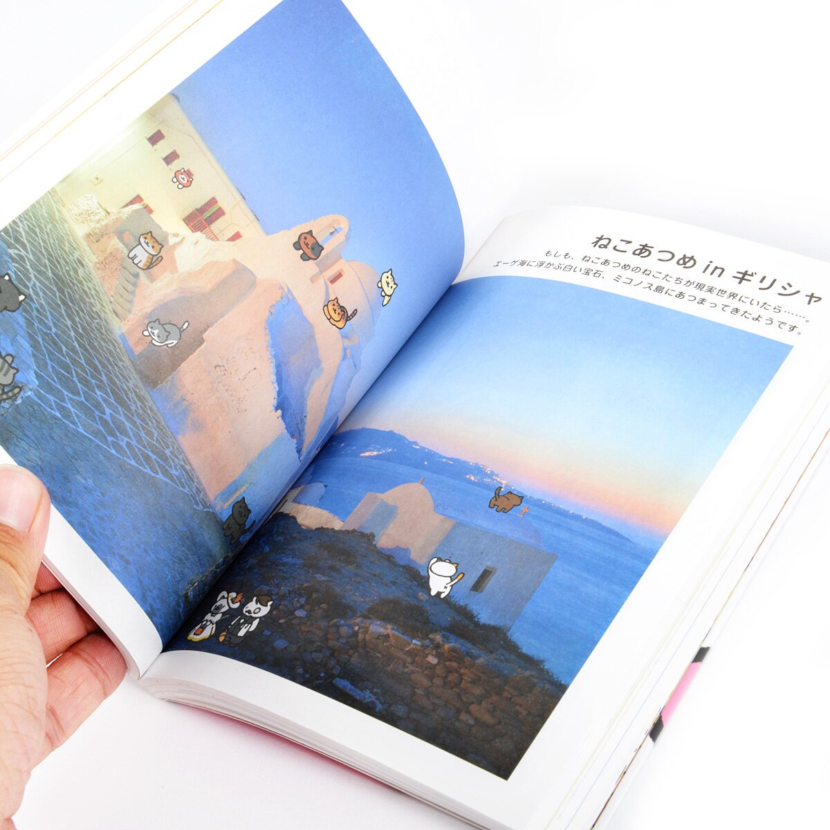 Neko Atsume: Neko Darake Zukan (Updated Edition) - Tokyo Otaku