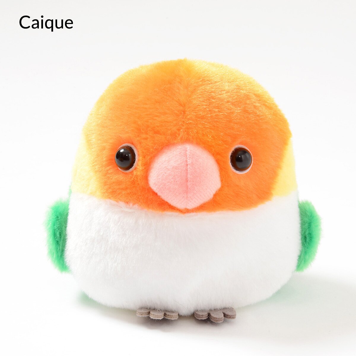 caique plush