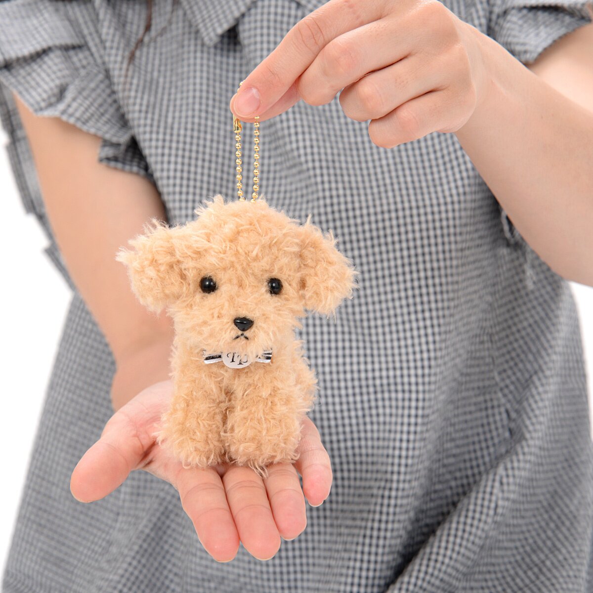Toy Poodle Mocha-chan Dog Plush Collection (Ball Chain): Amuse