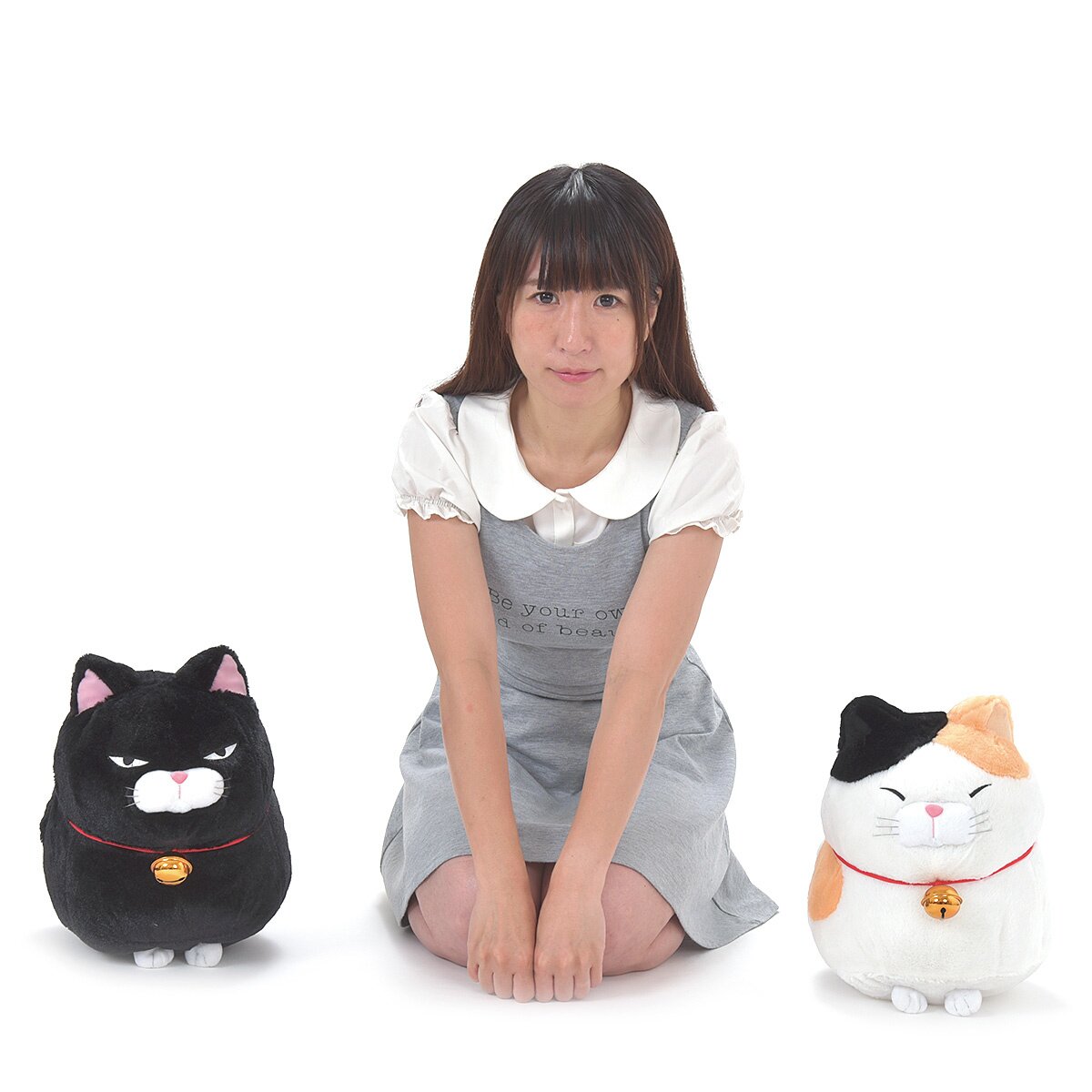 kuromame cat